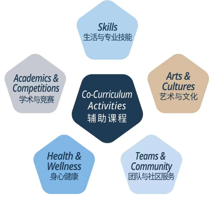 CCA & ECA插图